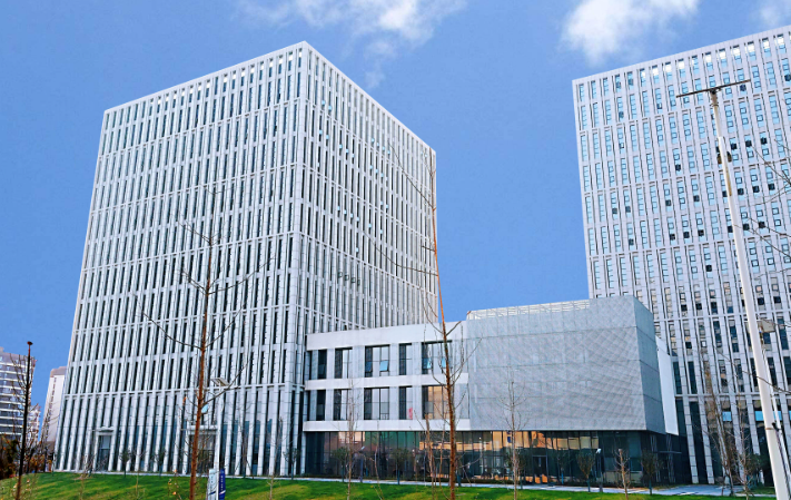 合肥市瑶海区乔彬网络科技工作室小众网络服务项目解析与技术支撑体系